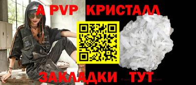 стафф Будённовск