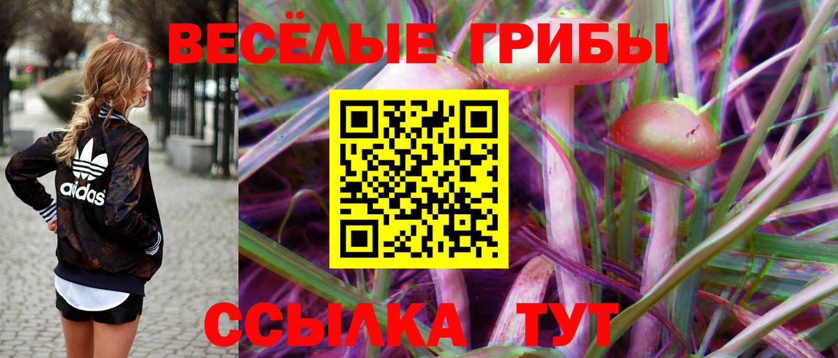 Тельмана  Галлюциногенные грибы Cubensis  Вход с VPN 